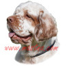 Samolepka clumber španěl, spaniel