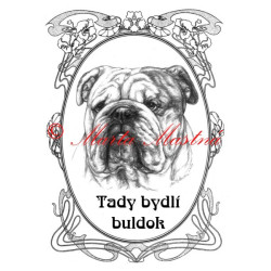 Tabulka anglický buldok