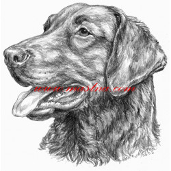 Samolepka chesepeak bay retriever, retrívr