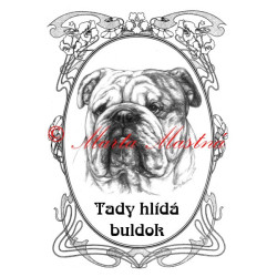 Tabulka anglický buldok