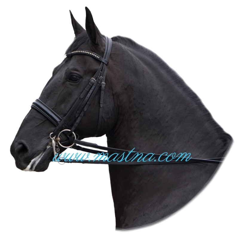 Samolepka lipicán černý, kůň, koně