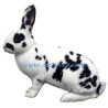 Samolepka králík rex dalmatinský strakáč