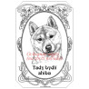 Tabulka shiba - inu