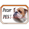 Cedulka buldok anglický, bulldog