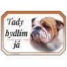 Cedulka buldok anglický, bulldog