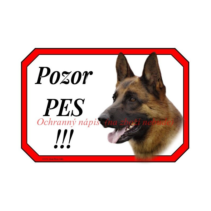 Cedulka německý ovčák, german shepherd