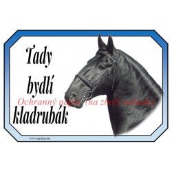 Cedulka kladrubský kůň, koně