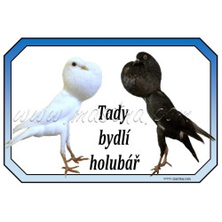 Cedulka holub brněnský voláč