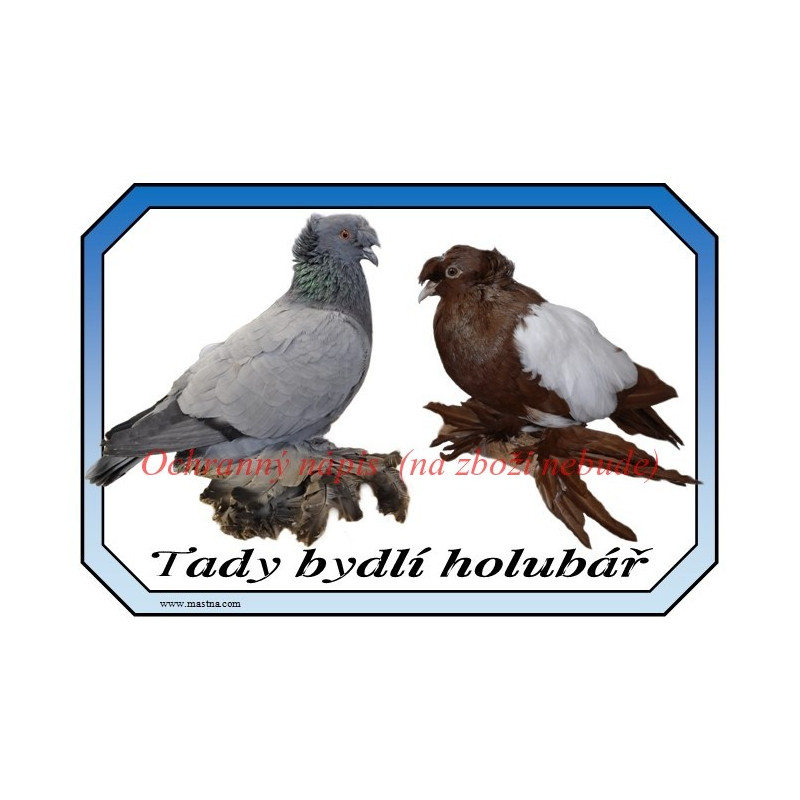 Cedulka holub český bublák