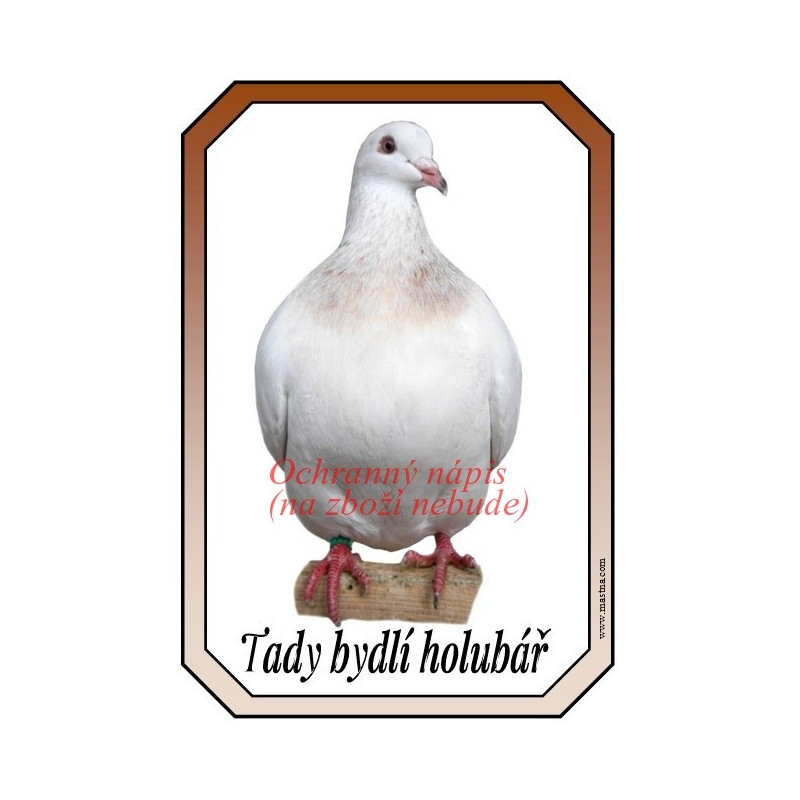 Cedulka holub modena
