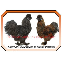 Cedulka drůbež slepice hedvábnička