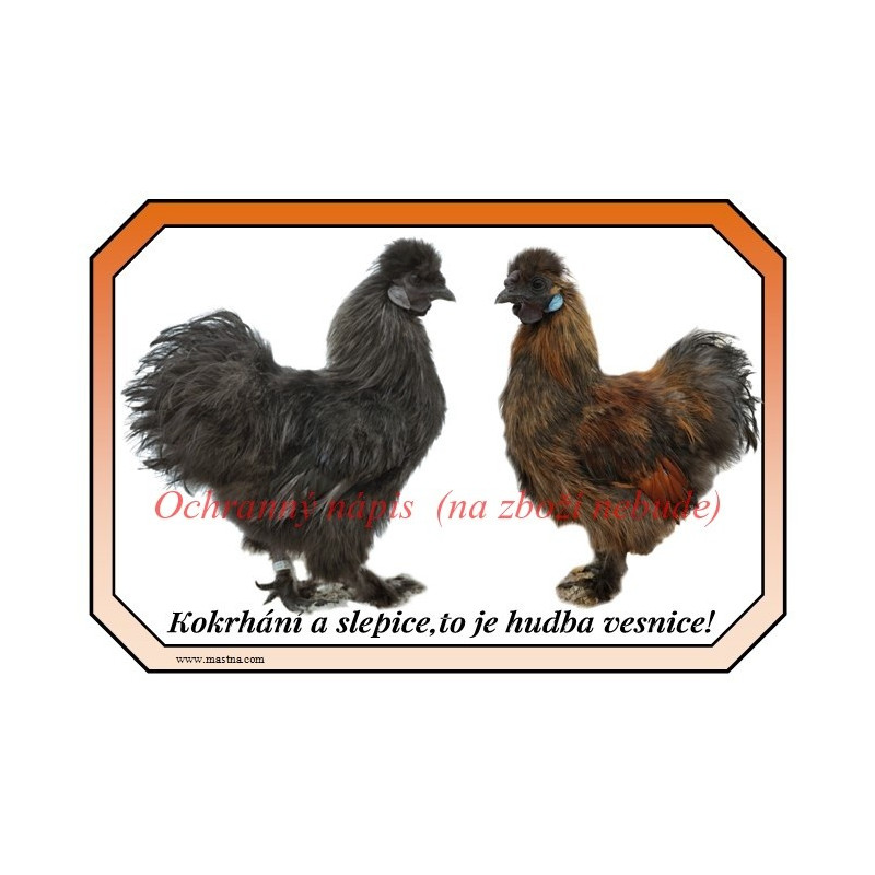 Cedulka drůbež slepice hedvábnička