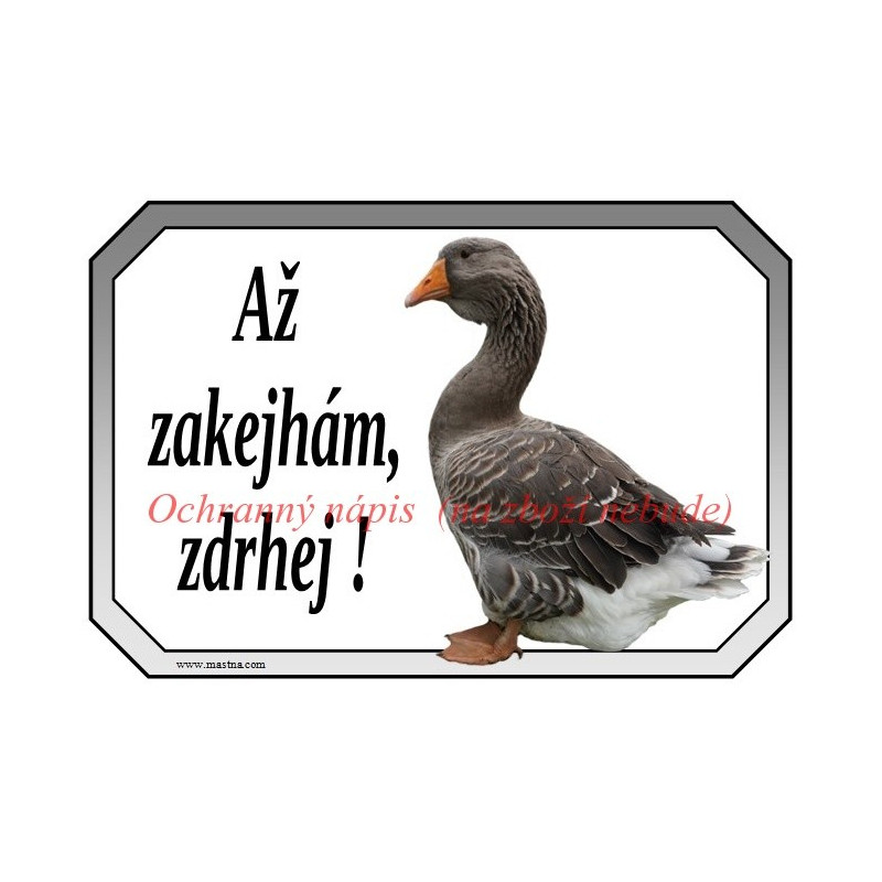 Cedulka husa tuluská, toulouse, vodní drůbež