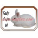 Cedulka králík moravský bílý hnědooký