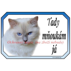 Cedulka kočka ragdoll