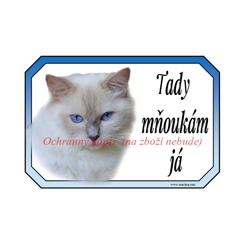 Cedulka kočka ragdoll