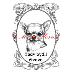 Tabulka čivava, chihuahua