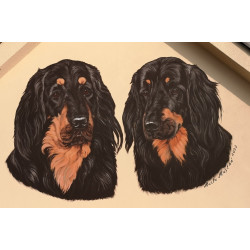 Malba na stěnu - hovawart