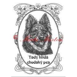 Tabulka chodský pes
