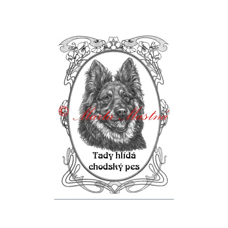 Tabulka chodský pes