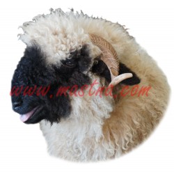 Samolepka ovce walliserská černohlavá