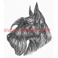 Samolepka skotský teriér