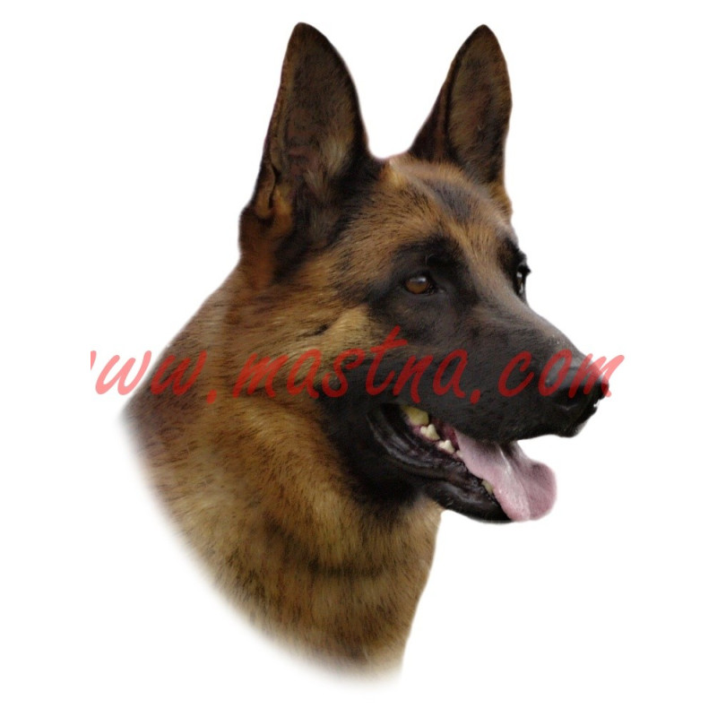 Samolepka německý ovčák