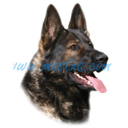 Samolepka německý ovčák