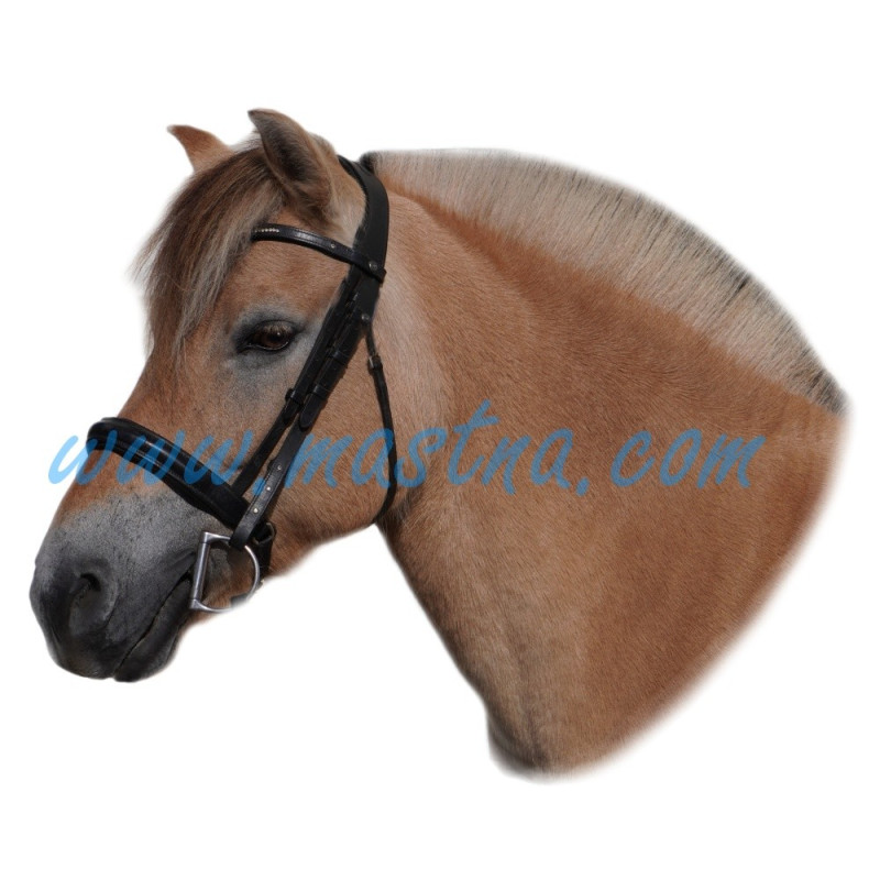 Samolepka fjord, kůň, koně