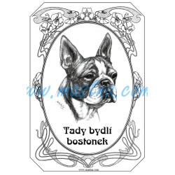 Tabulka boston teriér