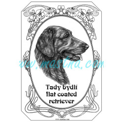 Tabulka flat coated retriever