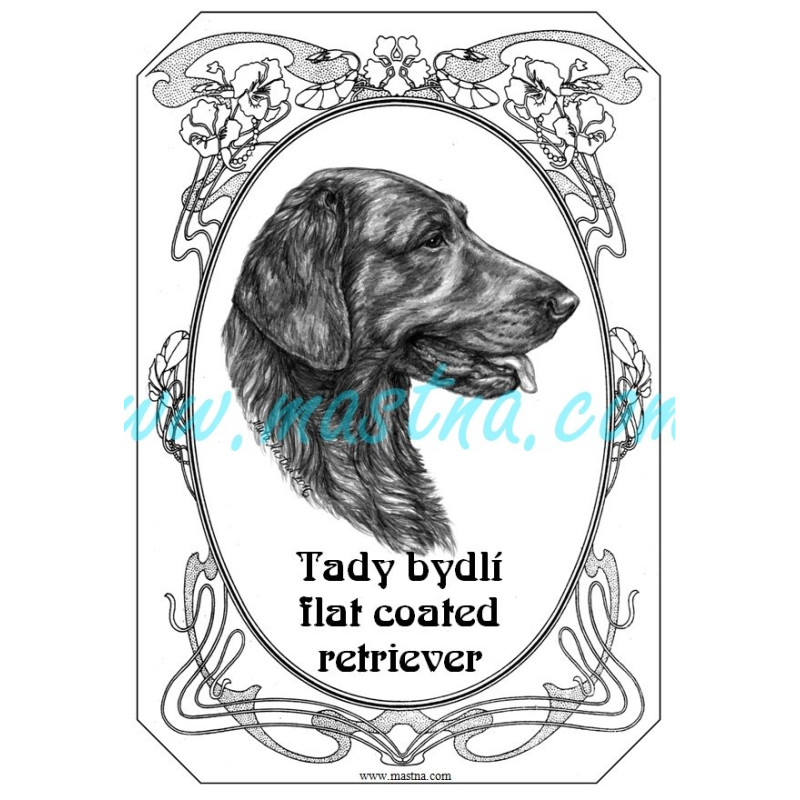 Tabulka flat coated retriever