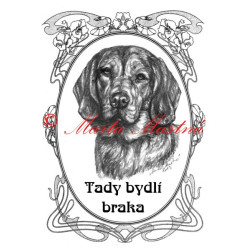 Tabulka alpský jezevčíkovitý brakýř