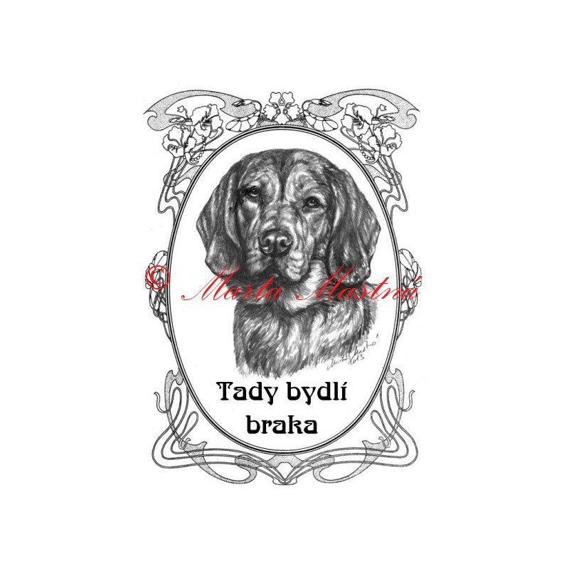 Tabulka alpský jezevčíkovitý brakýř