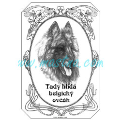 Tabulka belgický ovčák tervueren