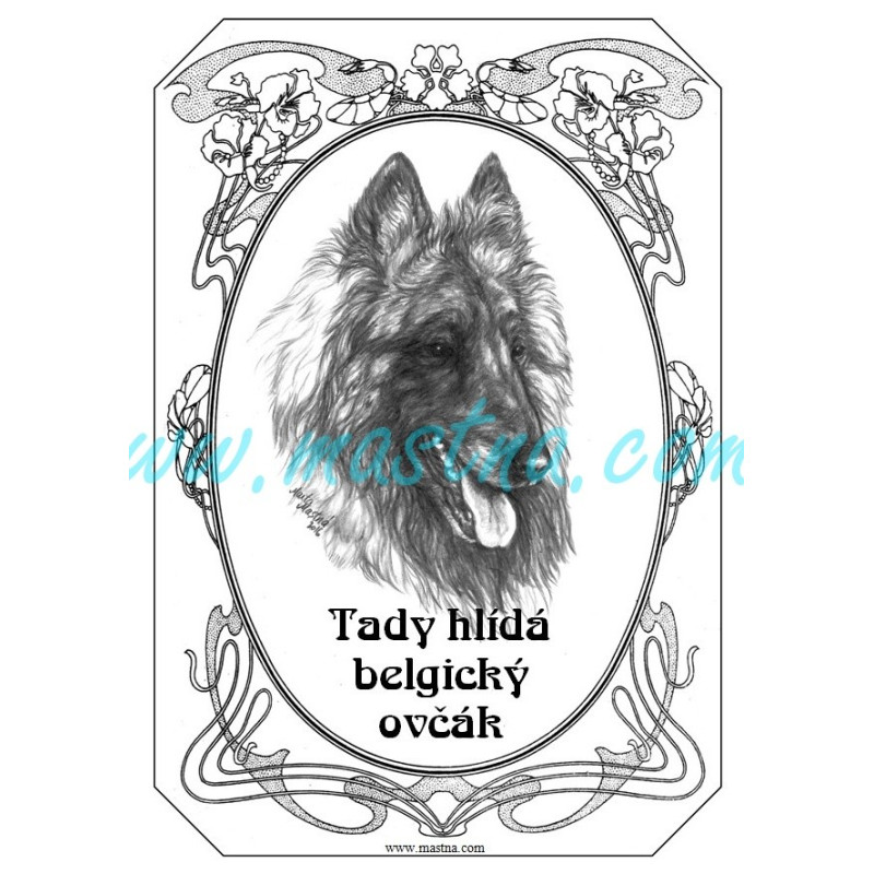 Tabulka belgický ovčák tervueren