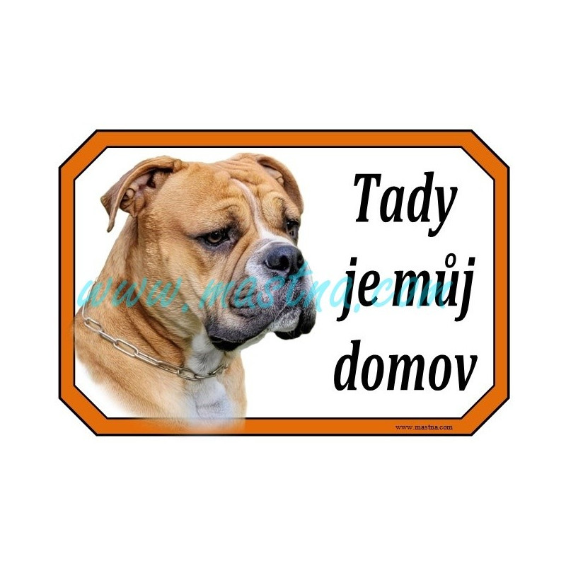 Cedulka buldok kontinentální