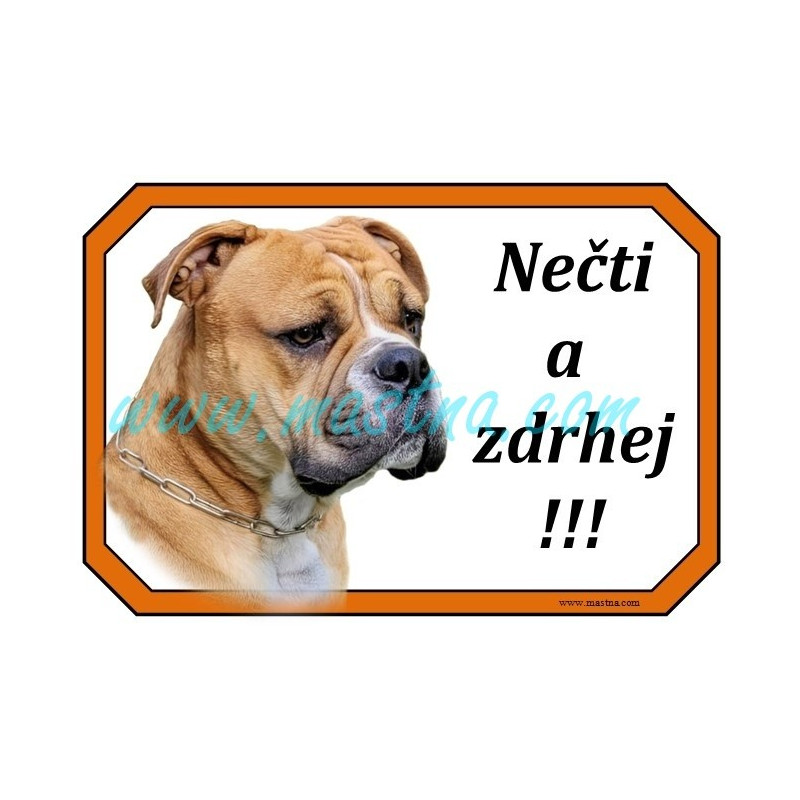 Cedulka buldok kontinentální