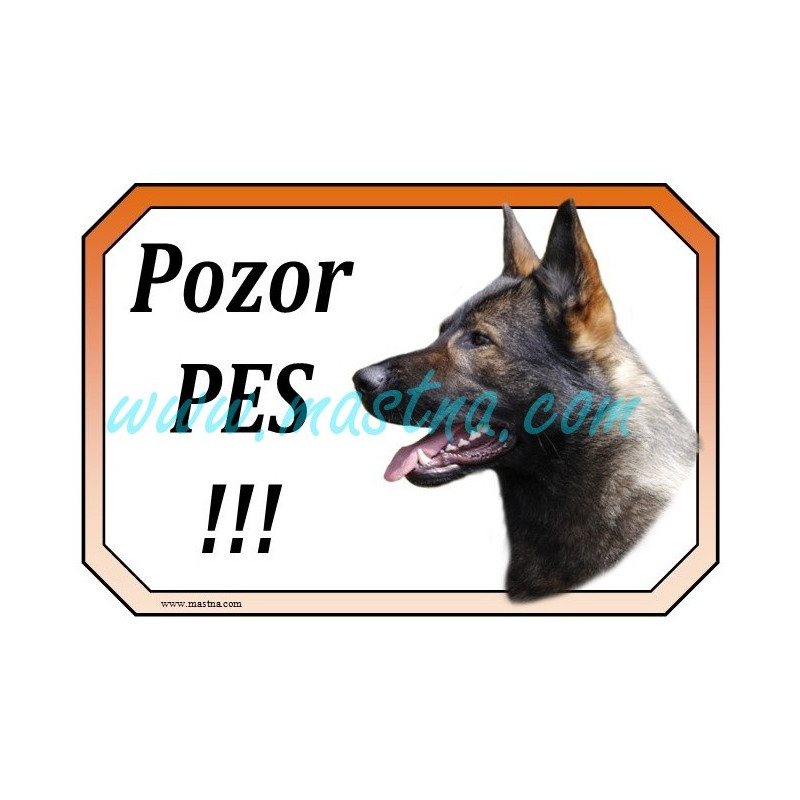 Cedulka německý ovčák, german shepherd