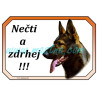 Cedulka německý ovčák, german shepherd
