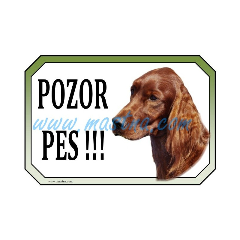 Cedulka irský setr, irish setter