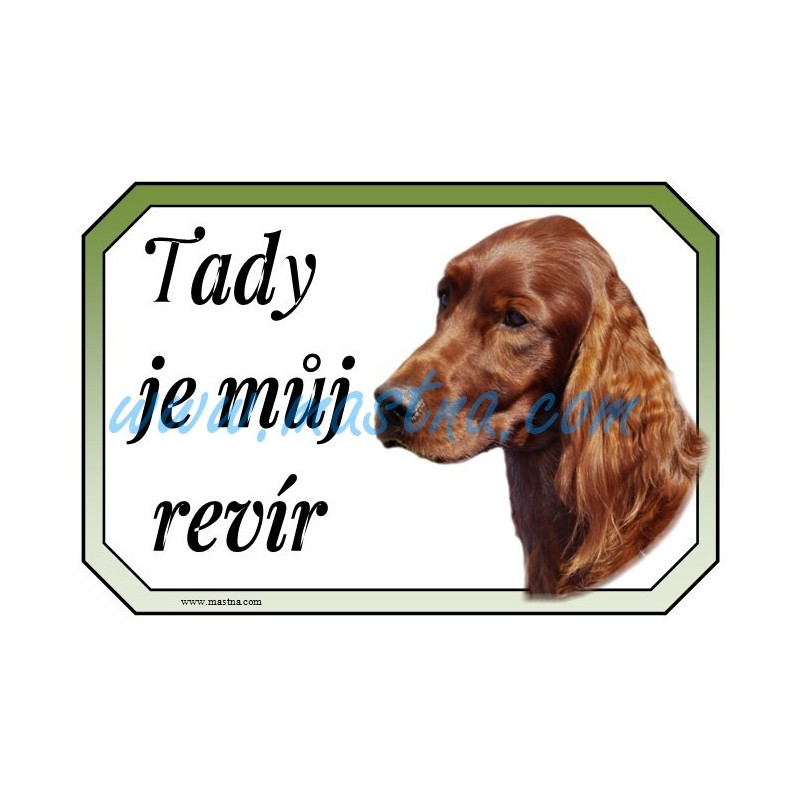 Cedulka irský setr, irish setter