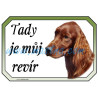 Cedulka irský setr, irish setter