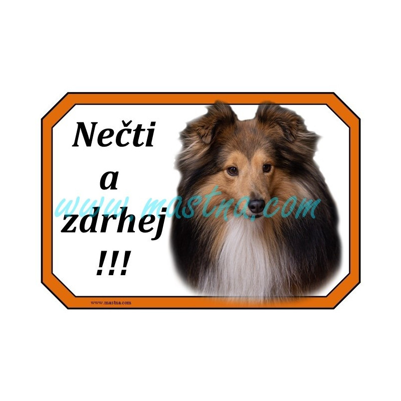 Cedulka šeltie, sheltie