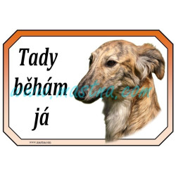 Cedulka vipet dlouhosrstý, whippet longhair