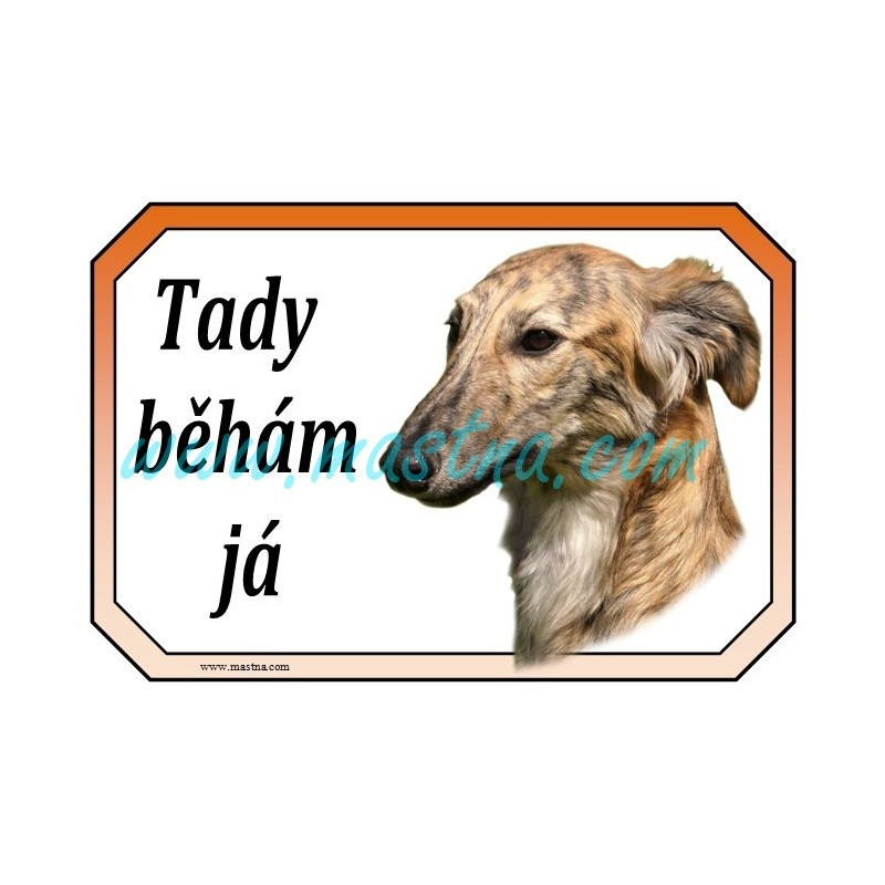 Cedulka vipet dlouhosrstý, whippet longhair