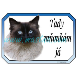 Cedulka kočka ragdoll