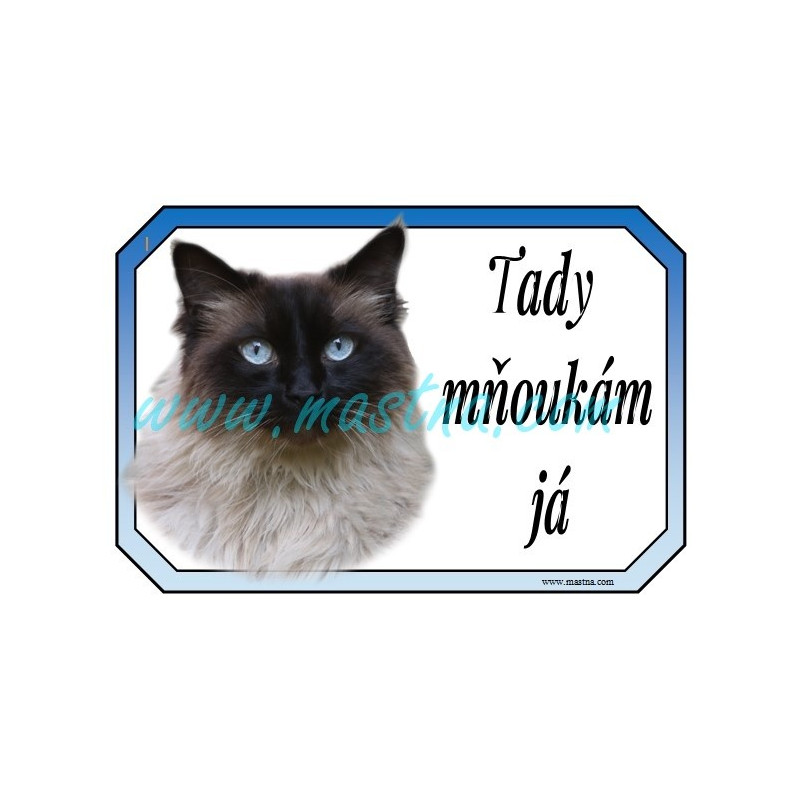 Cedulka kočka ragdoll