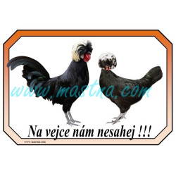 Cedulka drůbež slepice holandská chocholatá, holanďanka