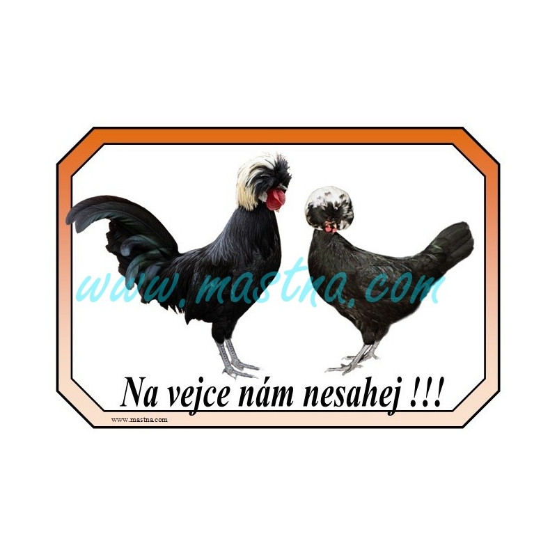 Cedulka drůbež slepice holandská chocholatá, holanďanka